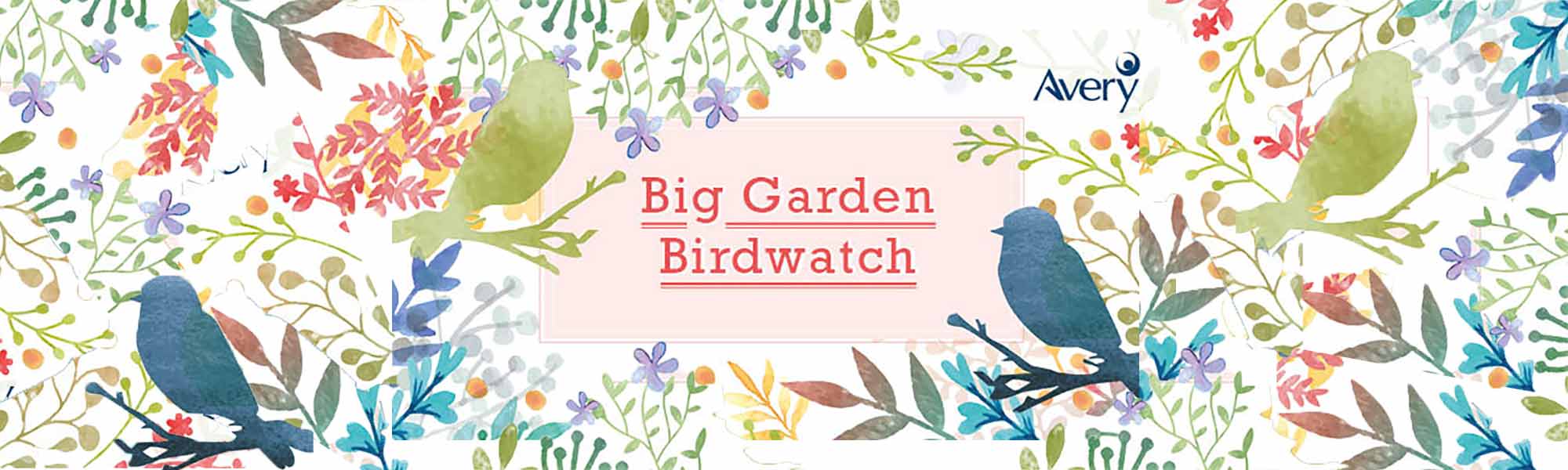 Big Garden Birdwatch banner hero